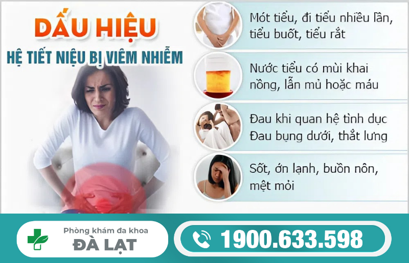 Hình ảnh minh họa